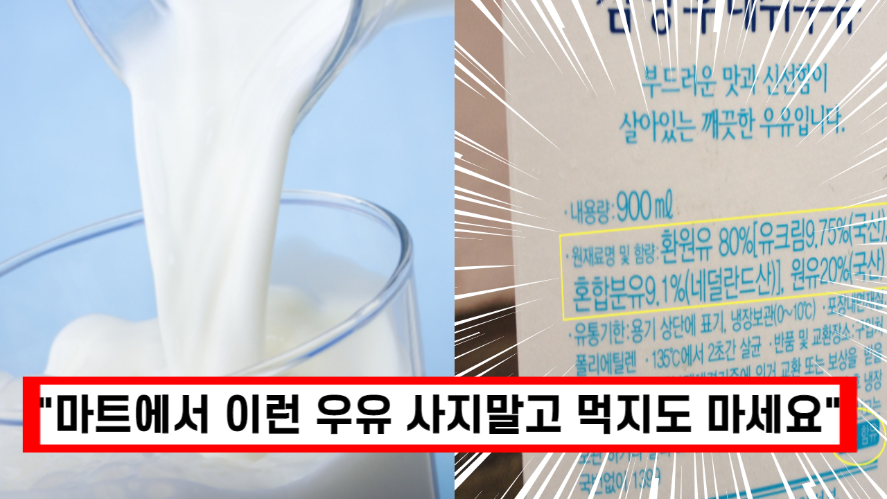 “마트에서 이런 우유 사지 마세요” 마트에서 파는 가짜 우유에 속아서 사게되는 환원유와 살균우유 구별 방법 공개 (+보관법)