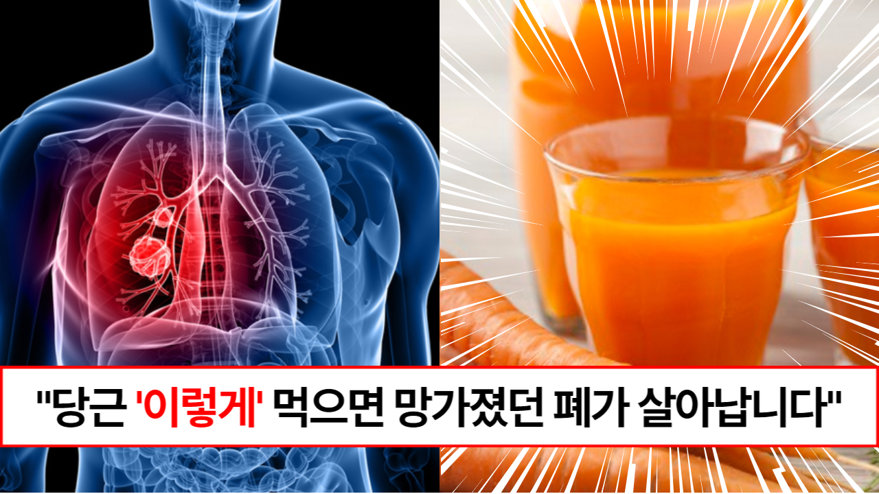 “당근은 이렇게 드세요” 폐의 염증을 예방해주고 면역력을 200% 상승시켜 주는 당근 레시피 1가지