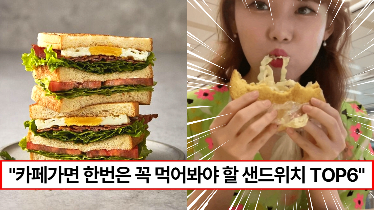 “갈때 마다 먹게 됩니다” 한번은 꼭 먹어봐야 할 프렌차이즈 카페 별 인기 샌드위치 TOP6