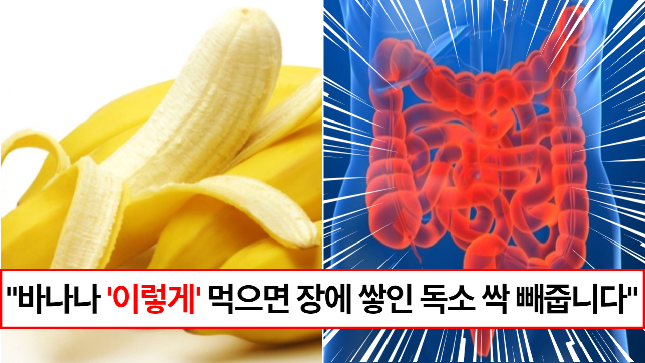 “바나나는 이렇게 드세요” 대장에 쌓인 비만 독소를 배출해주고 장을 깨끗하게 만들어 주는 바나나 레시피